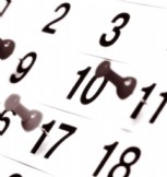 Side bar AS auto kalender 1 1